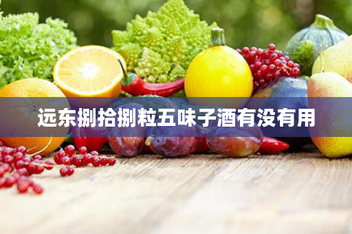 远东捌拾捌粒五味子酒有没有用