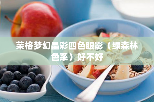 荣格梦幻晶彩四色眼影（绿森林色系）好不好