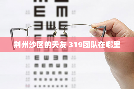 荆州沙区的天友 319团队在哪里