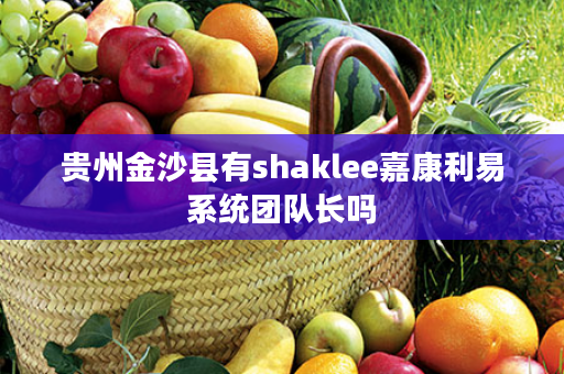 贵州金沙县有shaklee嘉康利易系统团队长吗