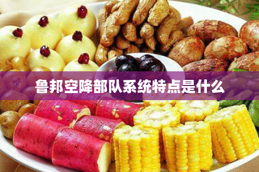 鲁邦空降部队系统特点是什么