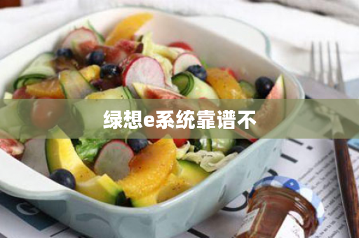 绿想e系统靠谱不