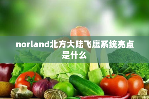 norland北方大陆飞鹰系统亮点是什么