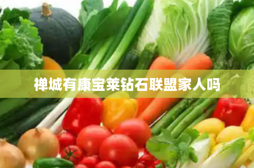 禅城有康宝莱钻石联盟家人吗
