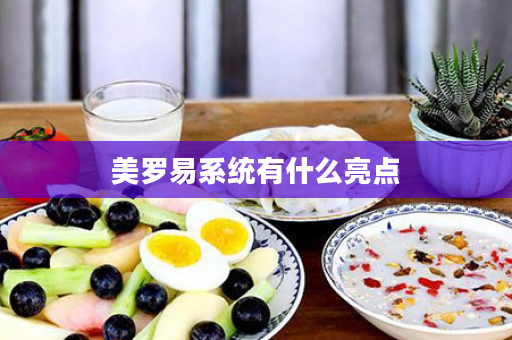 美罗易系统有什么亮点