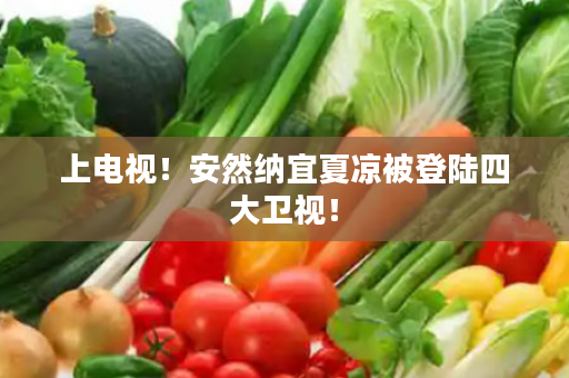 上电视！安然纳宜夏凉被登陆四大卫视！