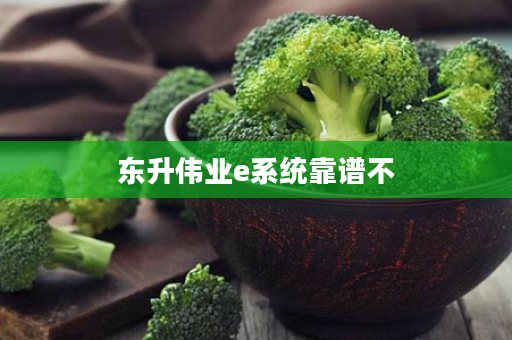 东升伟业e系统靠谱不