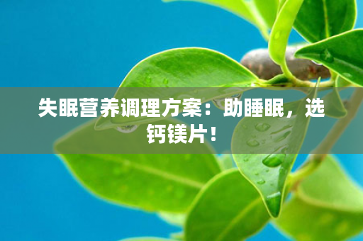 失眠营养调理方案：助睡眠，选钙镁片！