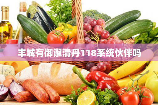 丰城有御淑清丹118系统伙伴吗