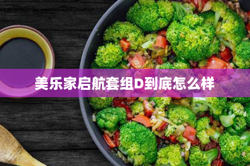 美乐家启航套组D到底怎么样