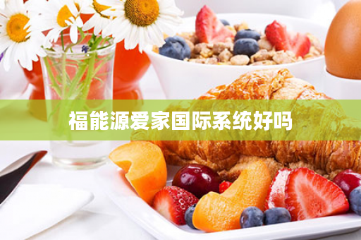 福能源爱家国际系统好吗