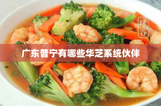 广东普宁有哪些华芝系统伙伴