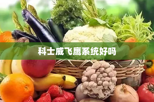 科士威飞鹰系统好吗