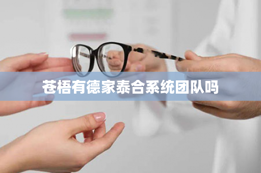 苍梧有德家泰合系统团队吗