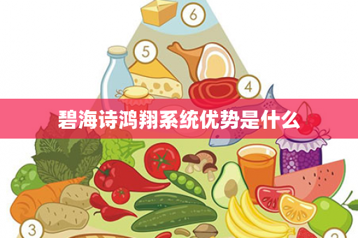 碧海诗鸿翔系统优势是什么