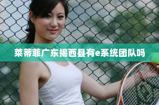 莱蒂菲广东揭西县有e系统团队吗