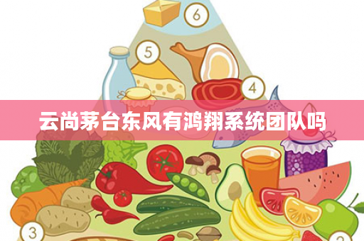 云尚茅台东风有鸿翔系统团队吗