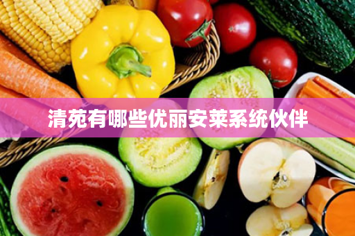 清苑有哪些优丽安莱系统伙伴