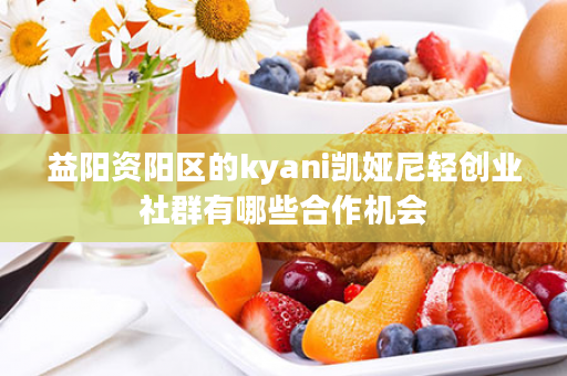 益阳资阳区的kyani凯娅尼轻创业社群有哪些合作机会