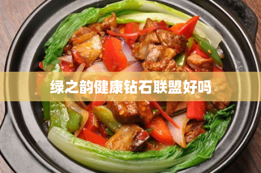 绿之韵健康钻石联盟好吗