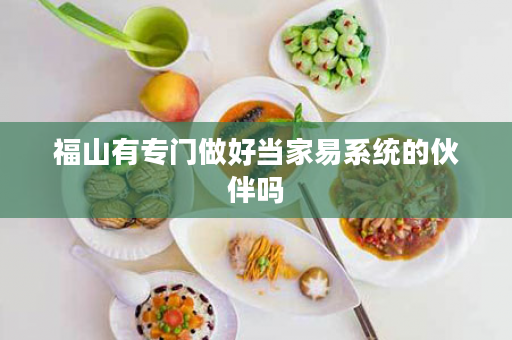 福山有专门做好当家易系统的伙伴吗