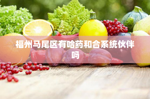 福州马尾区有哈药和合系统伙伴吗