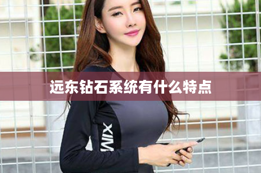 远东钻石系统有什么特点