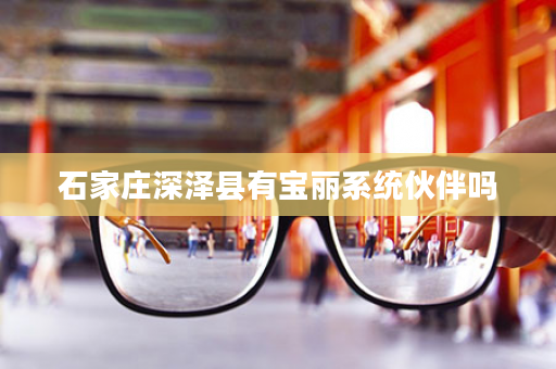 石家庄深泽县有宝丽系统伙伴吗