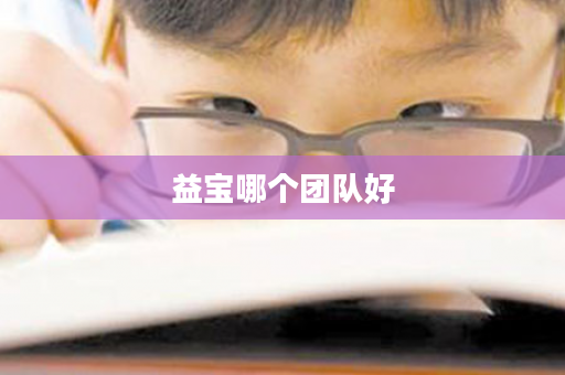 益宝哪个团队好
