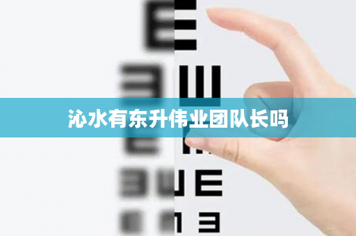 沁水有东升伟业团队长吗
