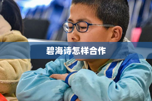 碧海诗怎样合作