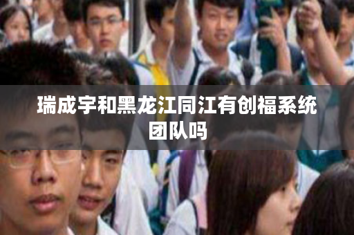 瑞成宇和黑龙江同江有创福系统团队吗