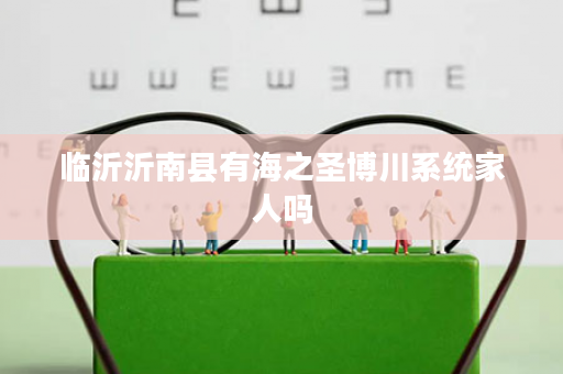 临沂沂南县有海之圣博川系统家人吗