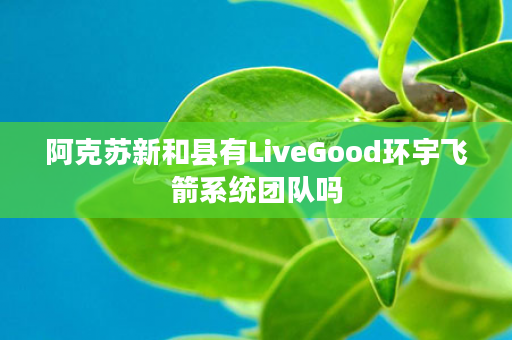 阿克苏新和县有LiveGood环宇飞箭系统团队吗