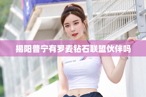 揭阳普宁有罗麦钻石联盟伙伴吗