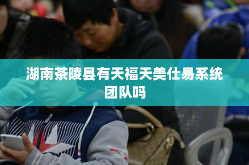 湖南茶陵县有天福天美仕易系统团队吗