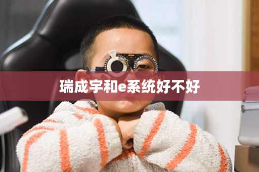 瑞成宇和e系统好不好