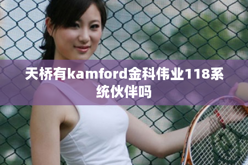 天桥有kamford金科伟业118系统伙伴吗