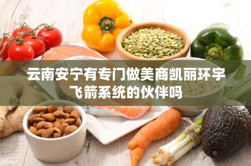 云南安宁有专门做美商凯丽环宇飞箭系统的伙伴吗
