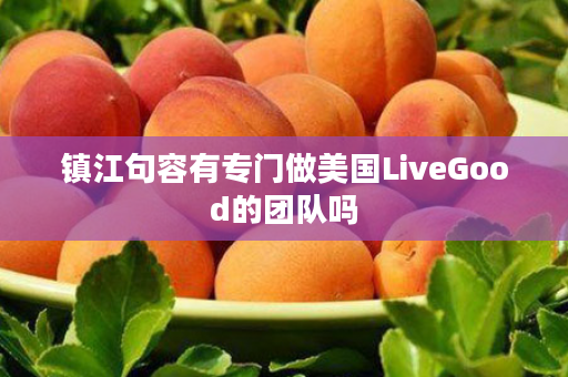 镇江句容有专门做美国LiveGood的团队吗