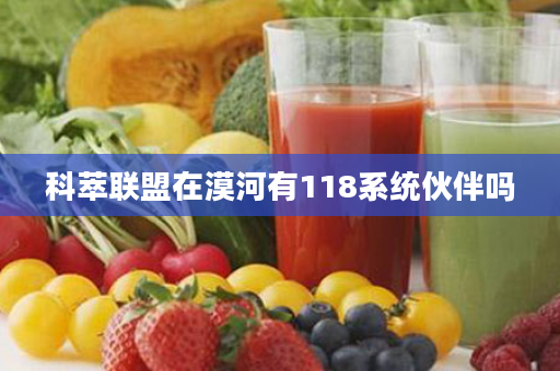 科萃联盟在漠河有118系统伙伴吗