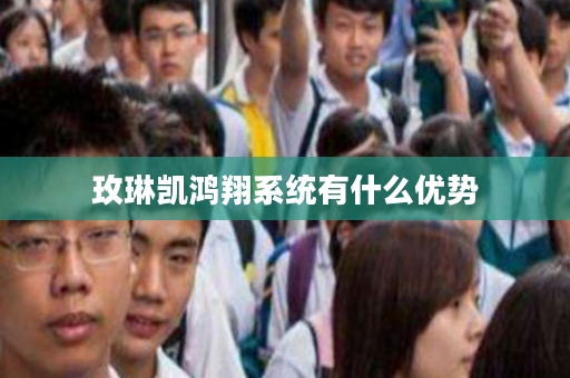 玫琳凯鸿翔系统有什么优势