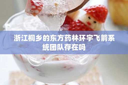 浙江桐乡的东方药林环宇飞箭系统团队存在吗