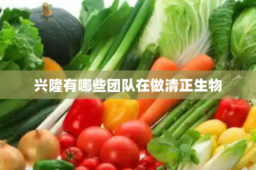 兴隆有哪些团队在做清正生物