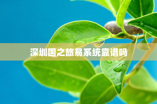 深圳国之旅易系统靠谱吗