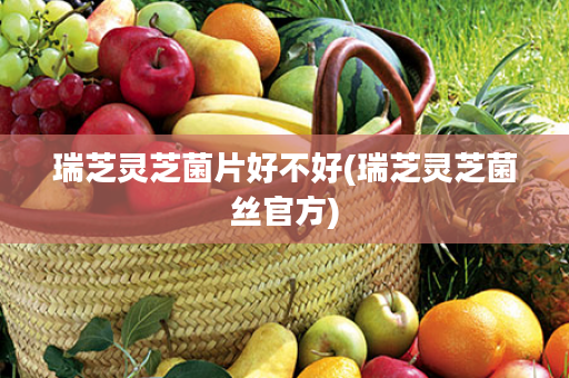 瑞芝灵芝菌片好不好(瑞芝灵芝菌丝官方)