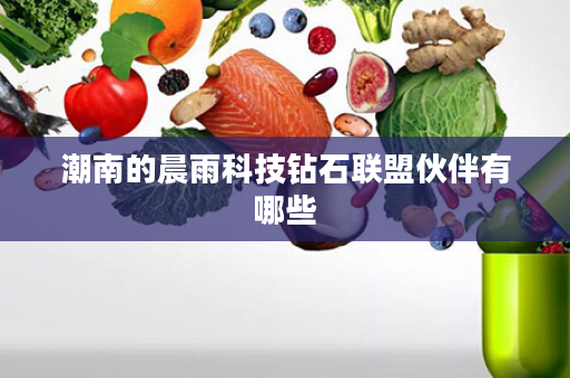 潮南的晨雨科技钻石联盟伙伴有哪些
