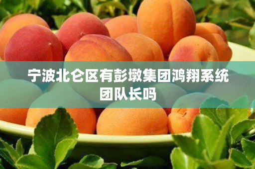 宁波北仑区有彭墩集团鸿翔系统团队长吗