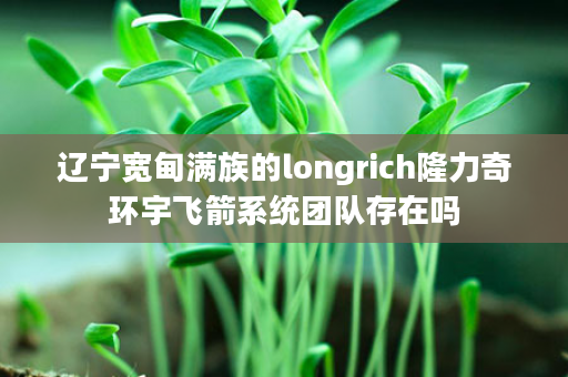 辽宁宽甸满族的longrich隆力奇环宇飞箭系统团队存在吗