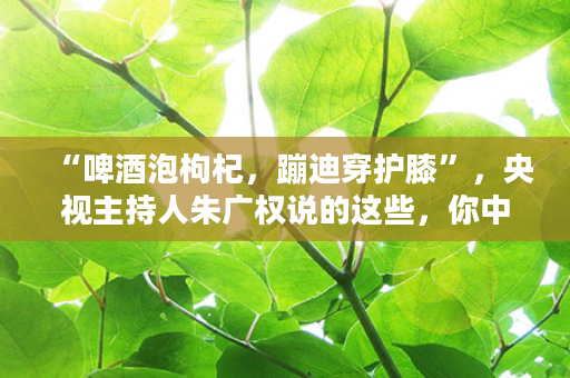 “啤酒泡枸杞，蹦迪穿护膝”，央视主持人朱广权说的这些，你中了几条？